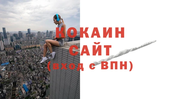 PSILOCYBIN Ладушкин