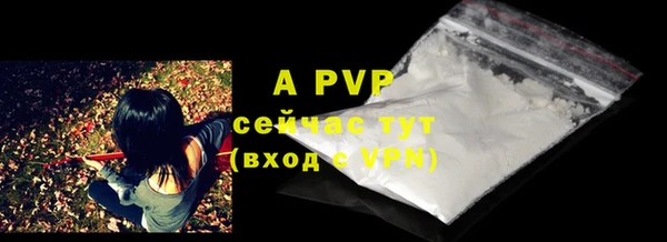 PSILOCYBIN Ладушкин