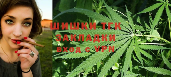 PSILOCYBIN Ладушкин