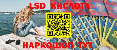 мдпв Камышлов
