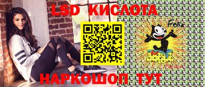 мдпв Камышлов