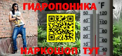 мдпв Камышлов