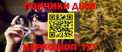 мдпв Камышлов