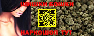 мдпв Камышлов