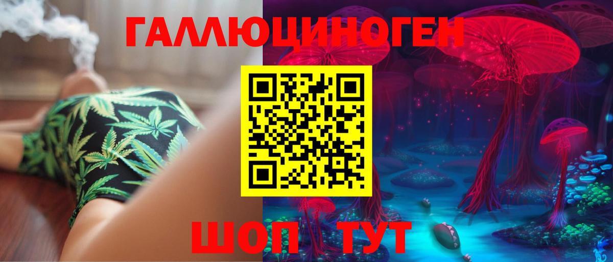 Псилоцибиновые грибы Psilocybine cubensis Шатура